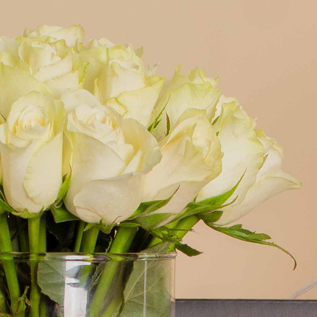 product-image-13618