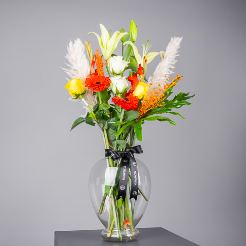 product-image-263