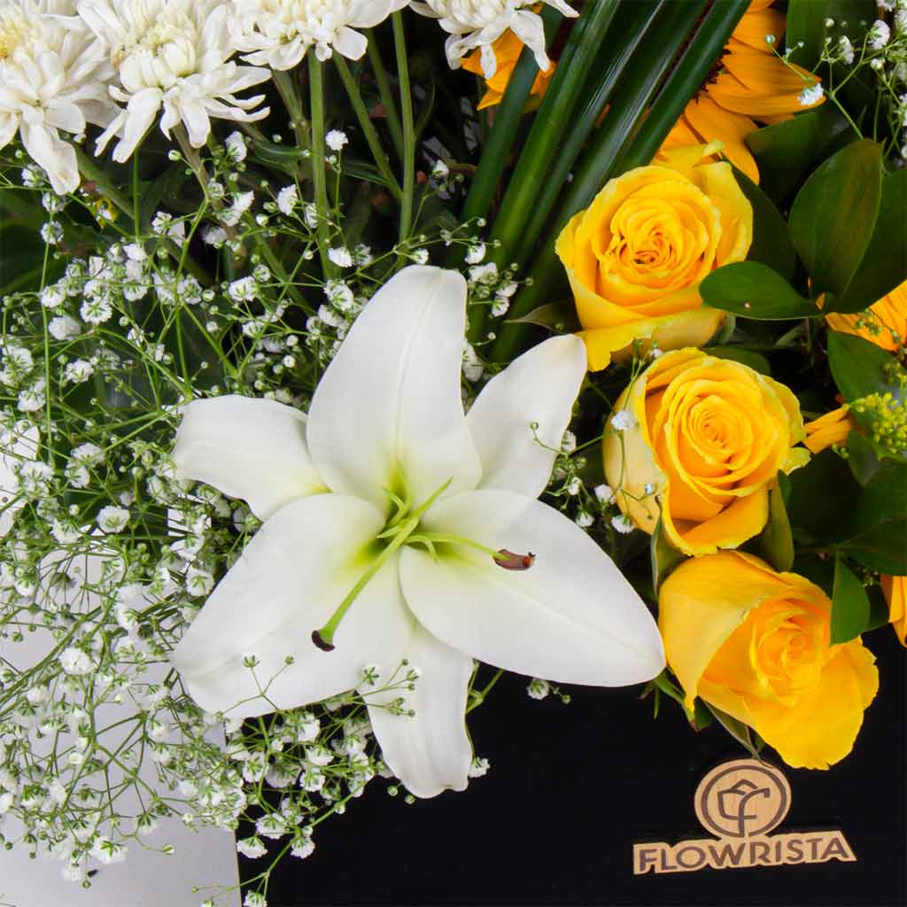 product-image-11608
