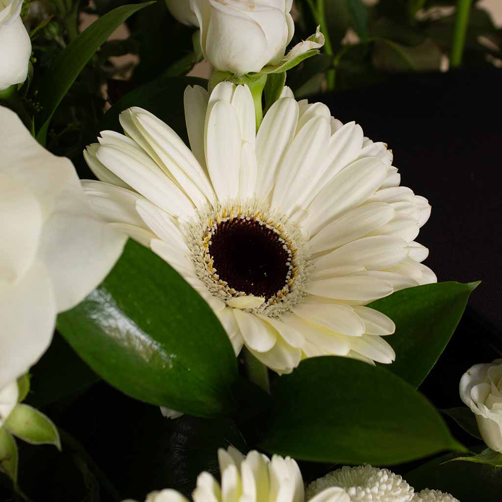 product-image-13658