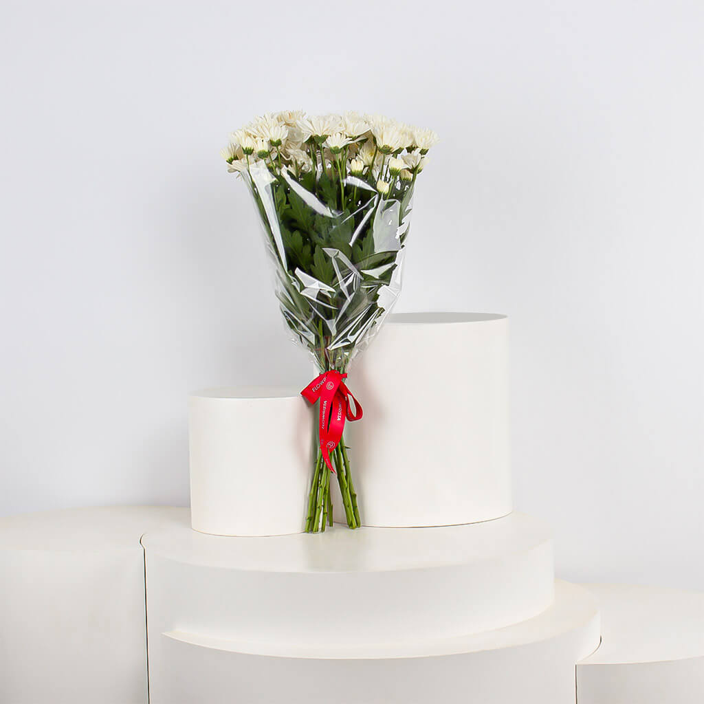 product-image-11435