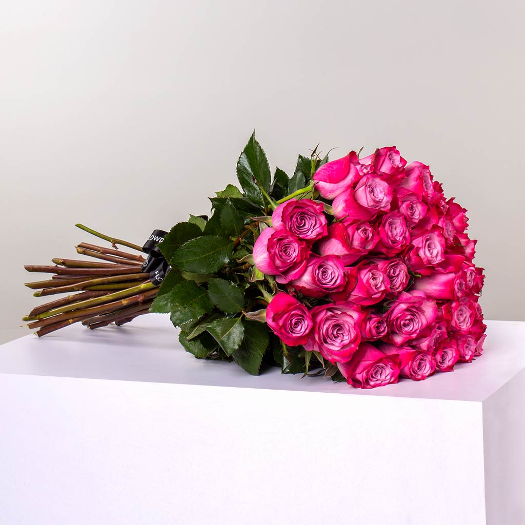 product-image-10505