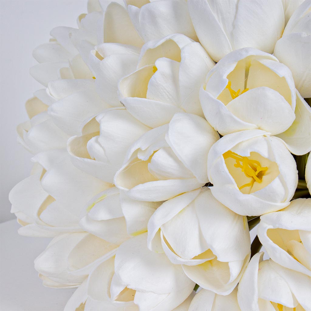 product-image-12071