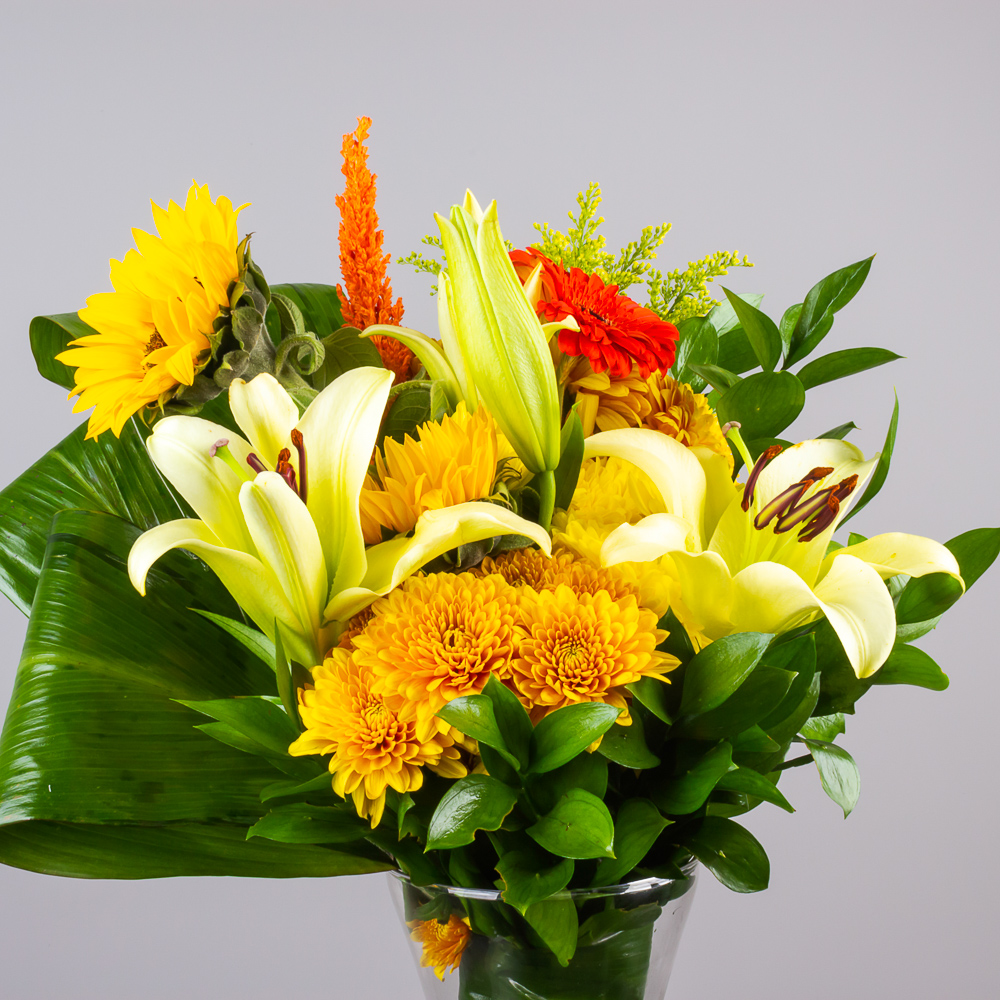 product-image-276