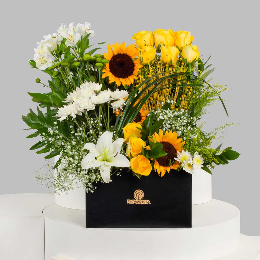 product-image-11608