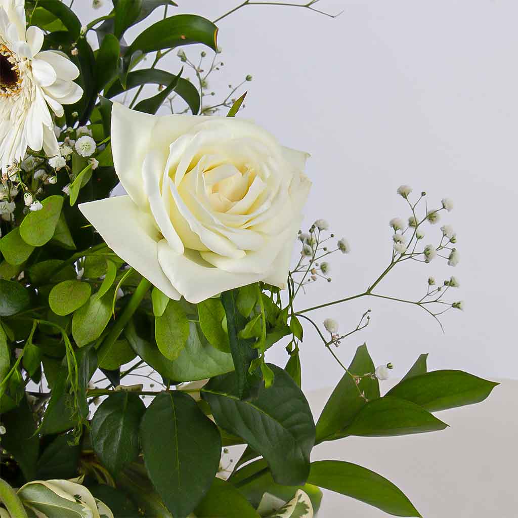 product-image-11373