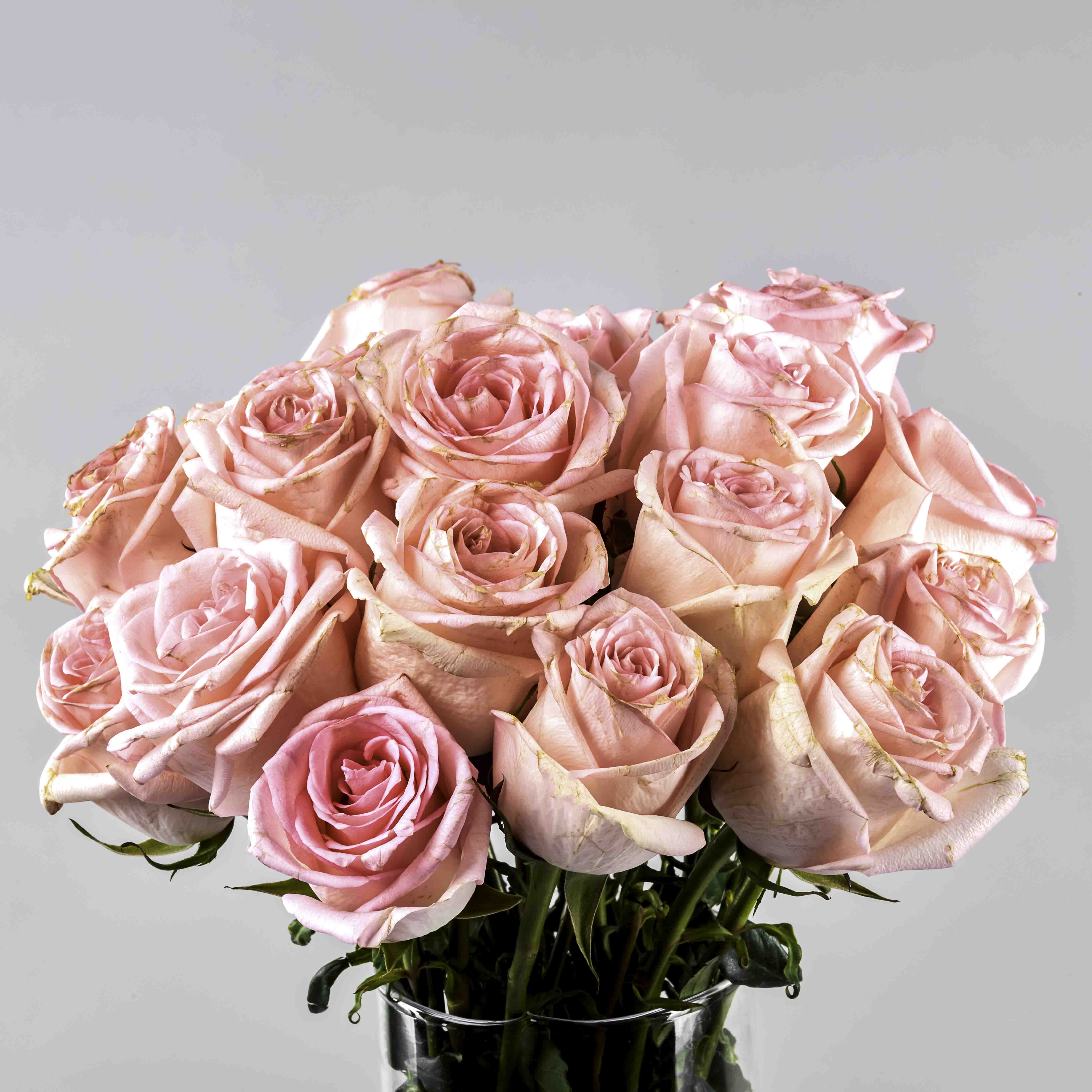 Rose Flowers Vase