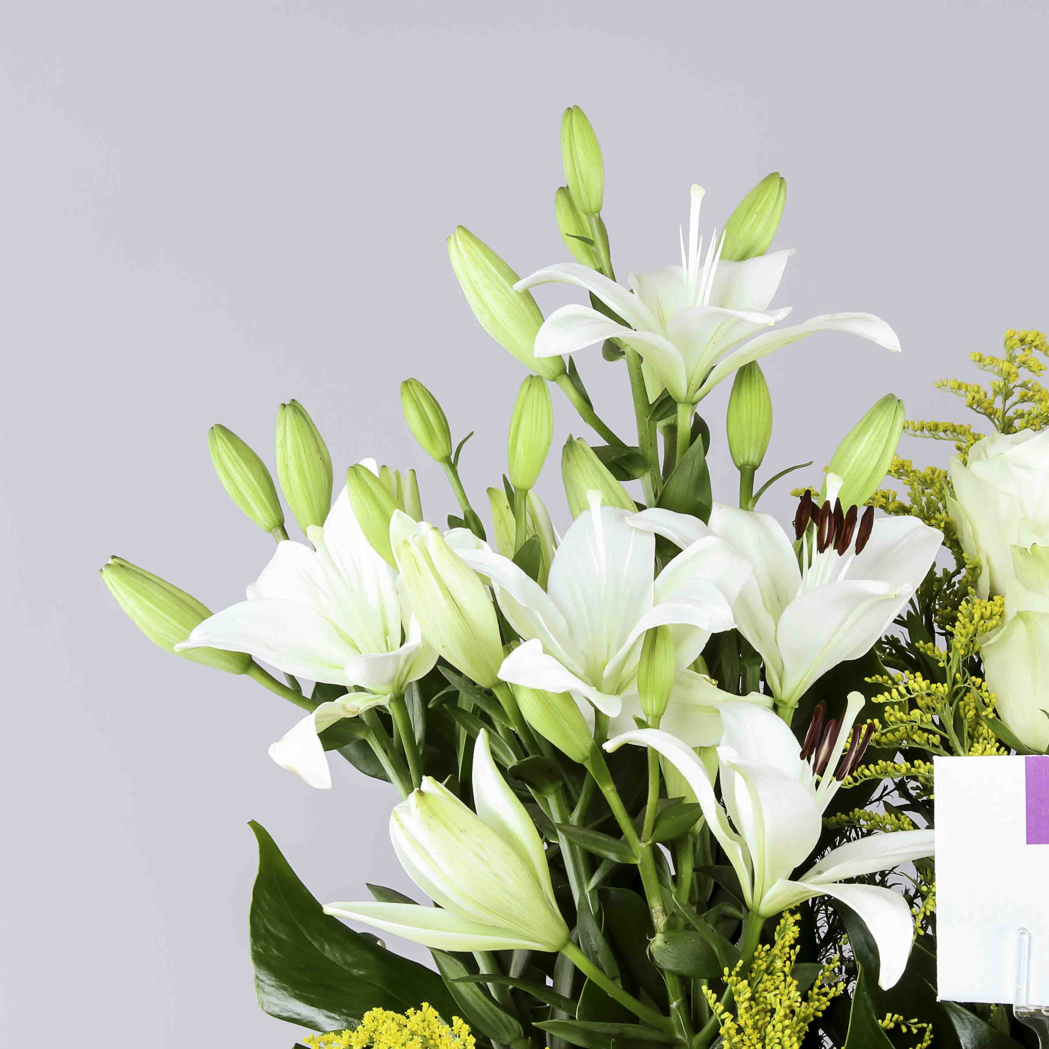product-image-172