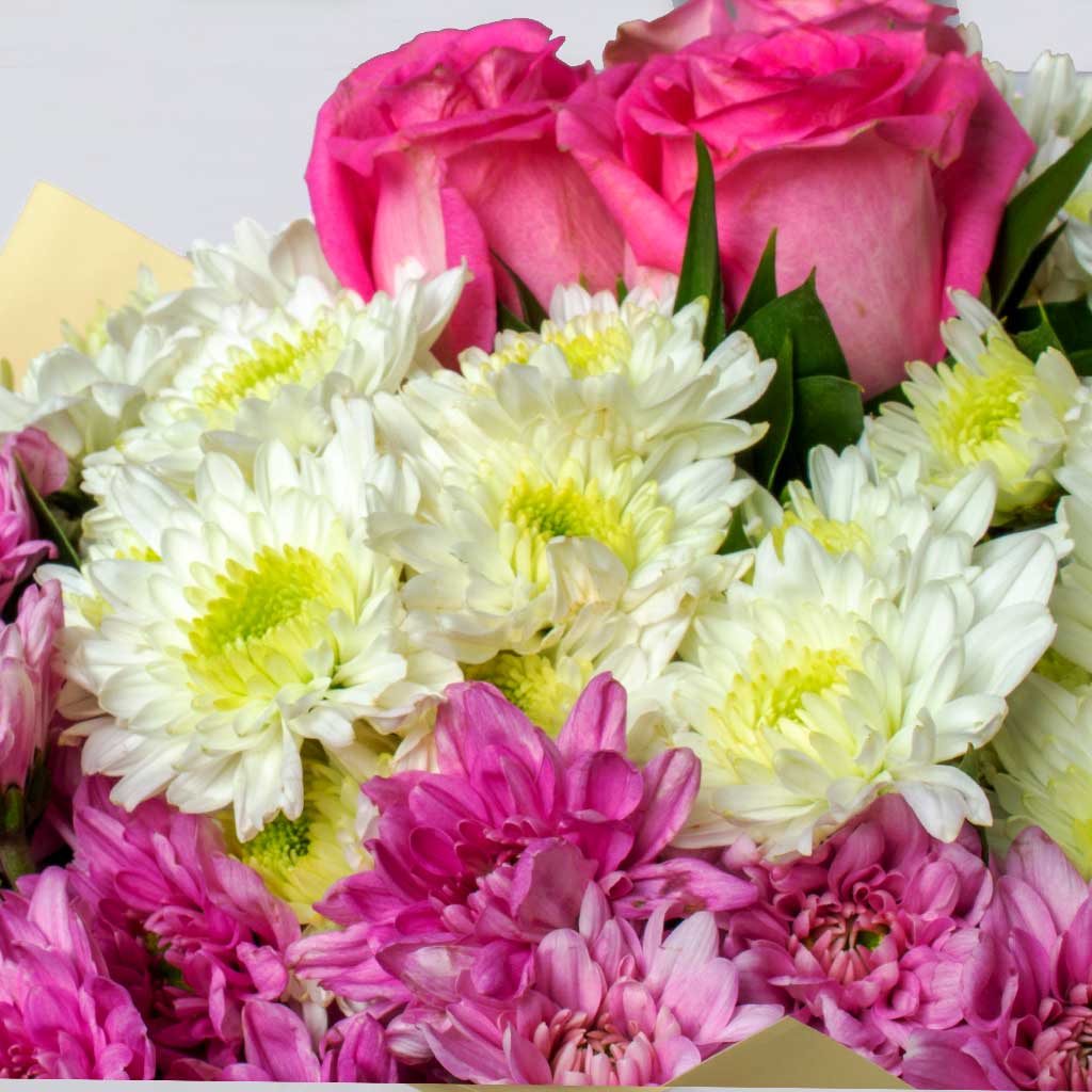 product-image-10598