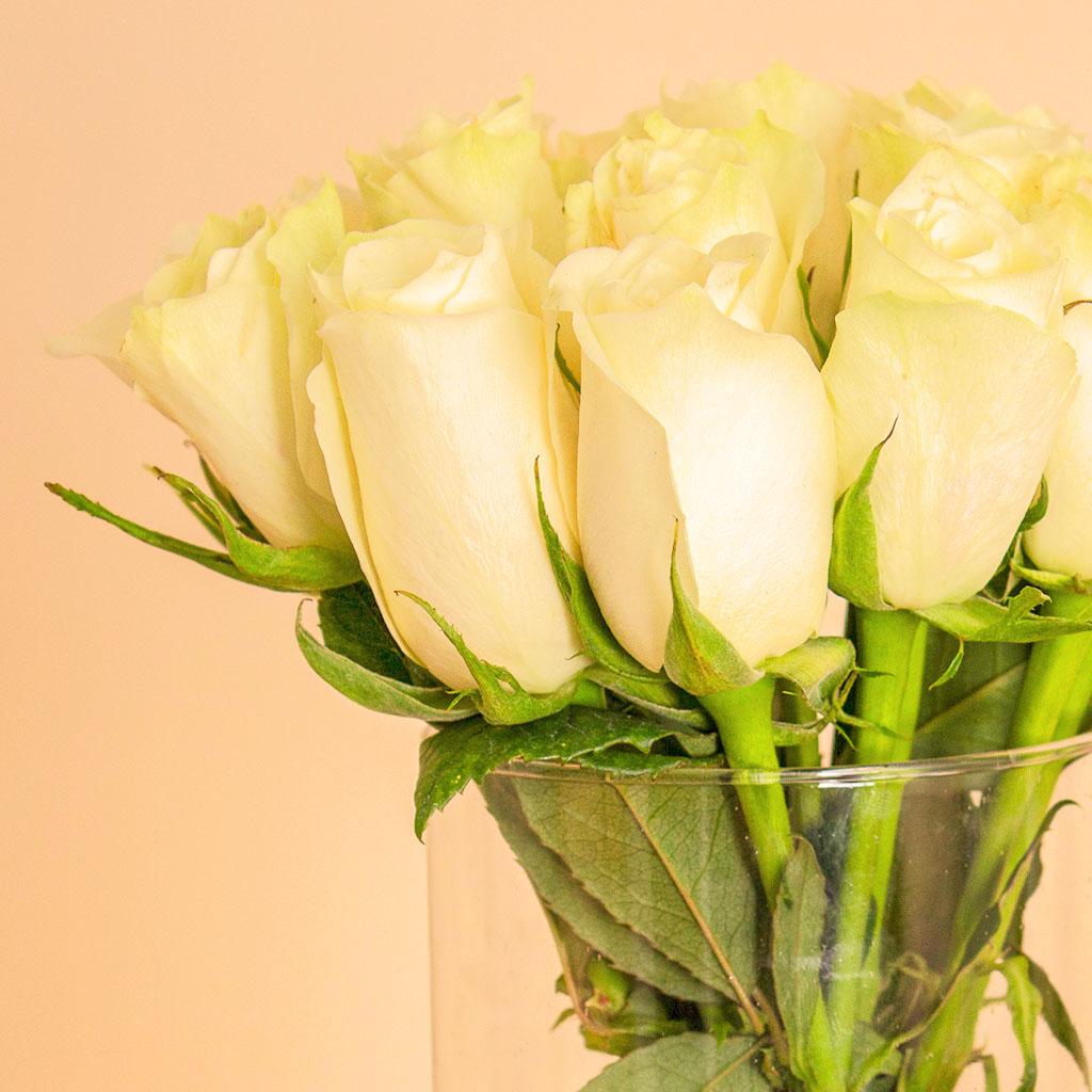 product-image-13919