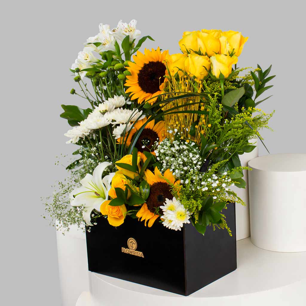 product-image-11608