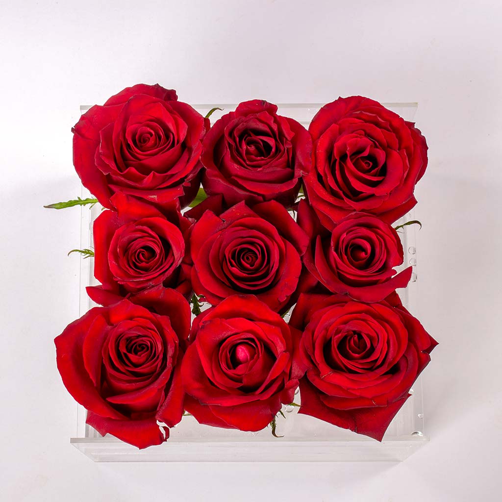 product-image-331