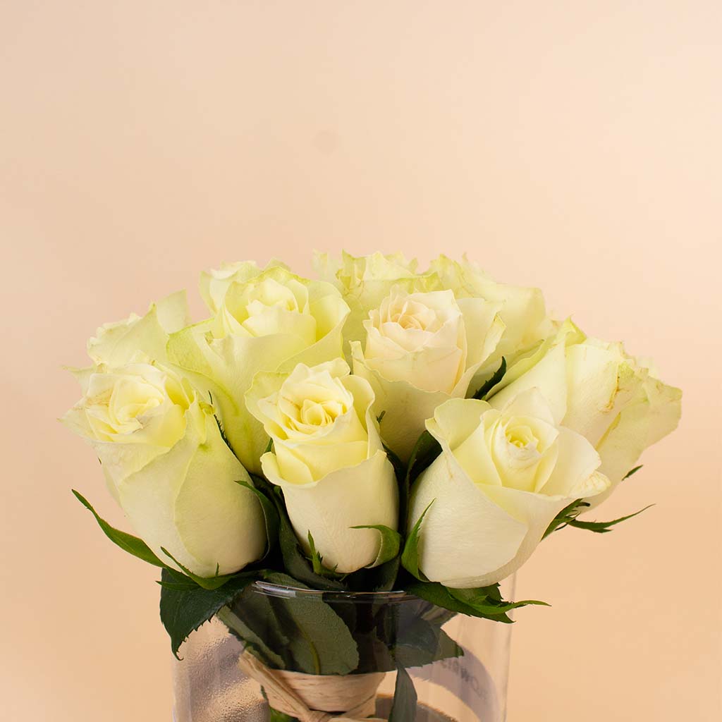 product-image-14300