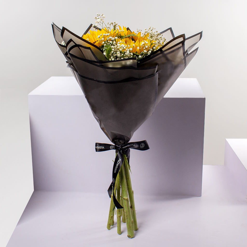 product-image-447