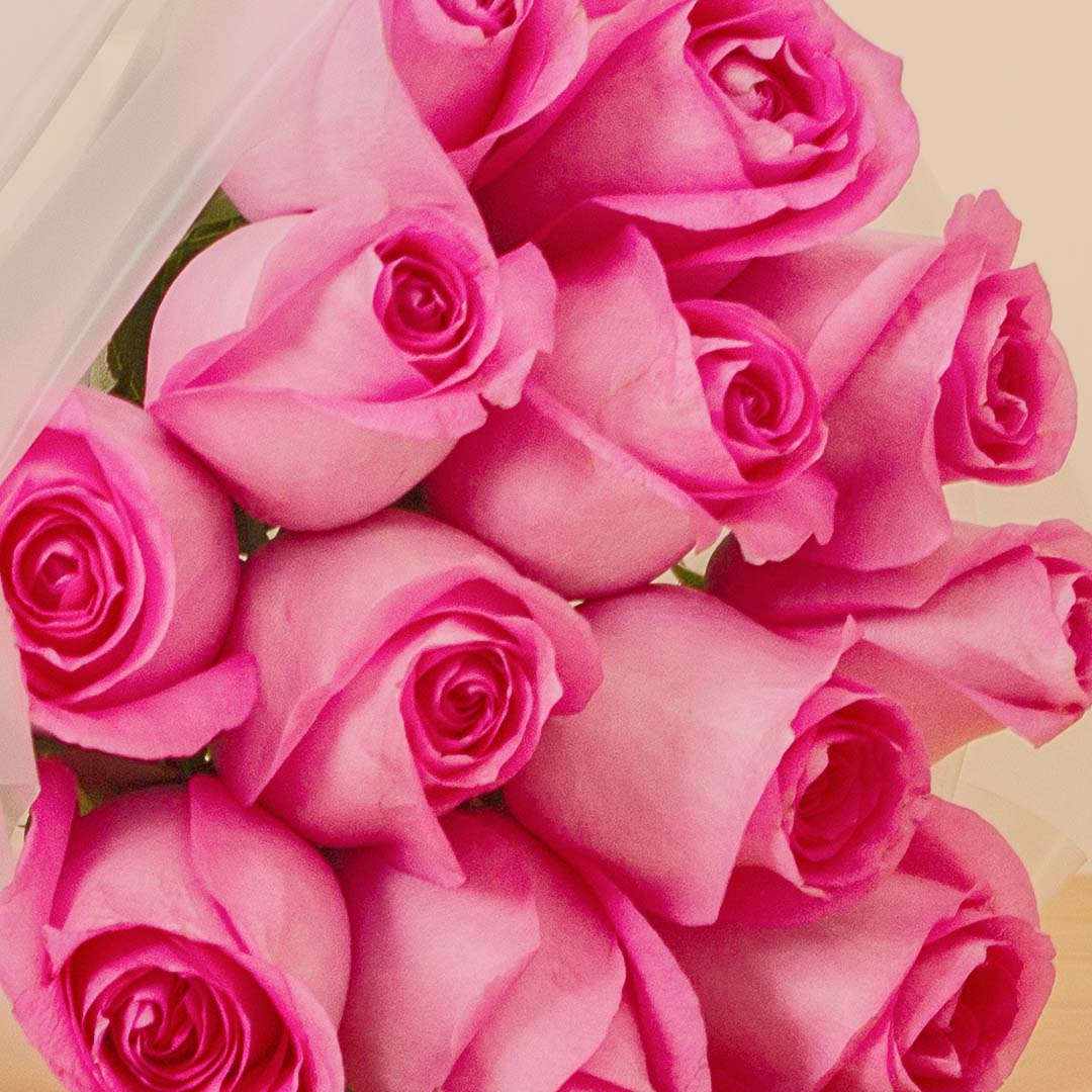 product-image-206