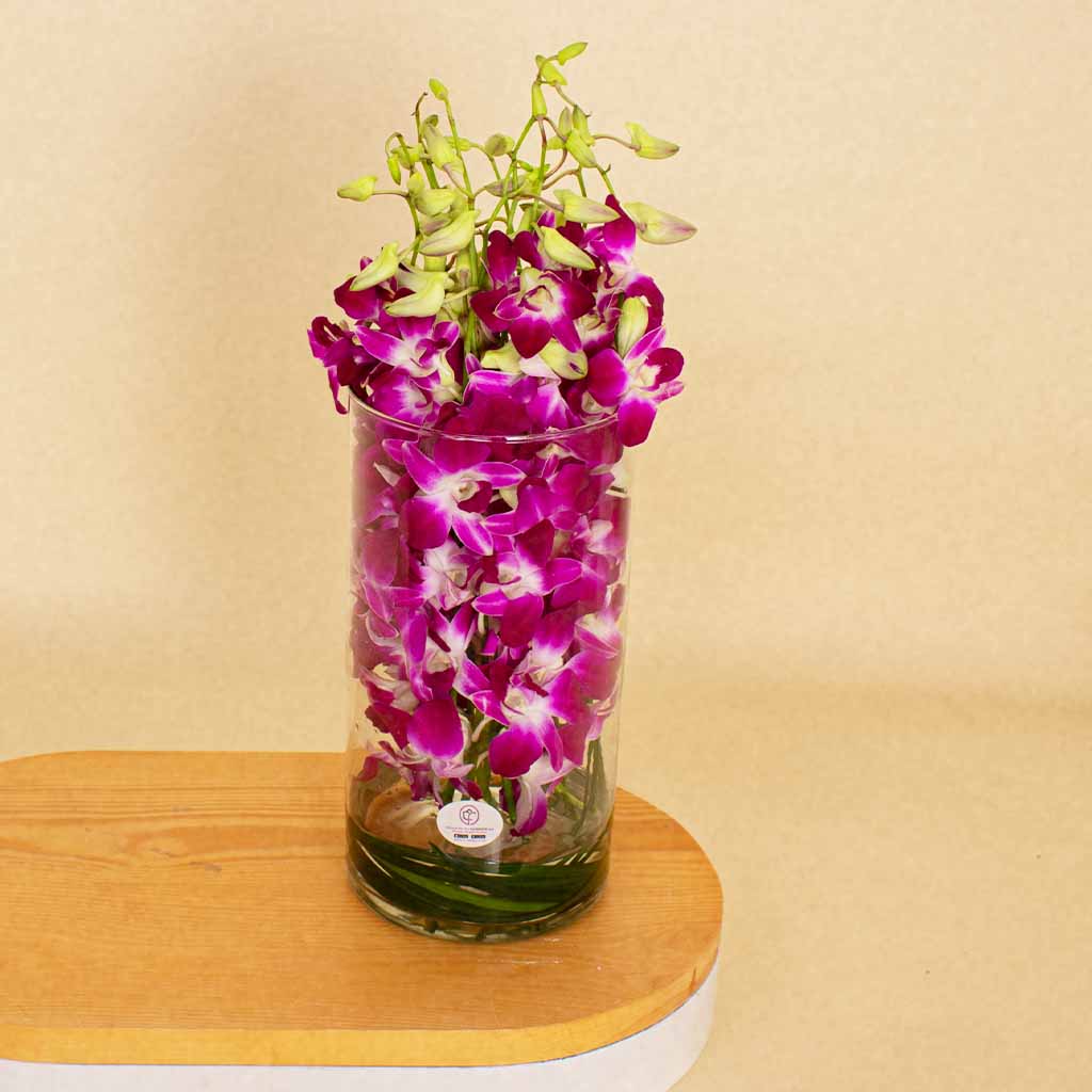 product-image-13527