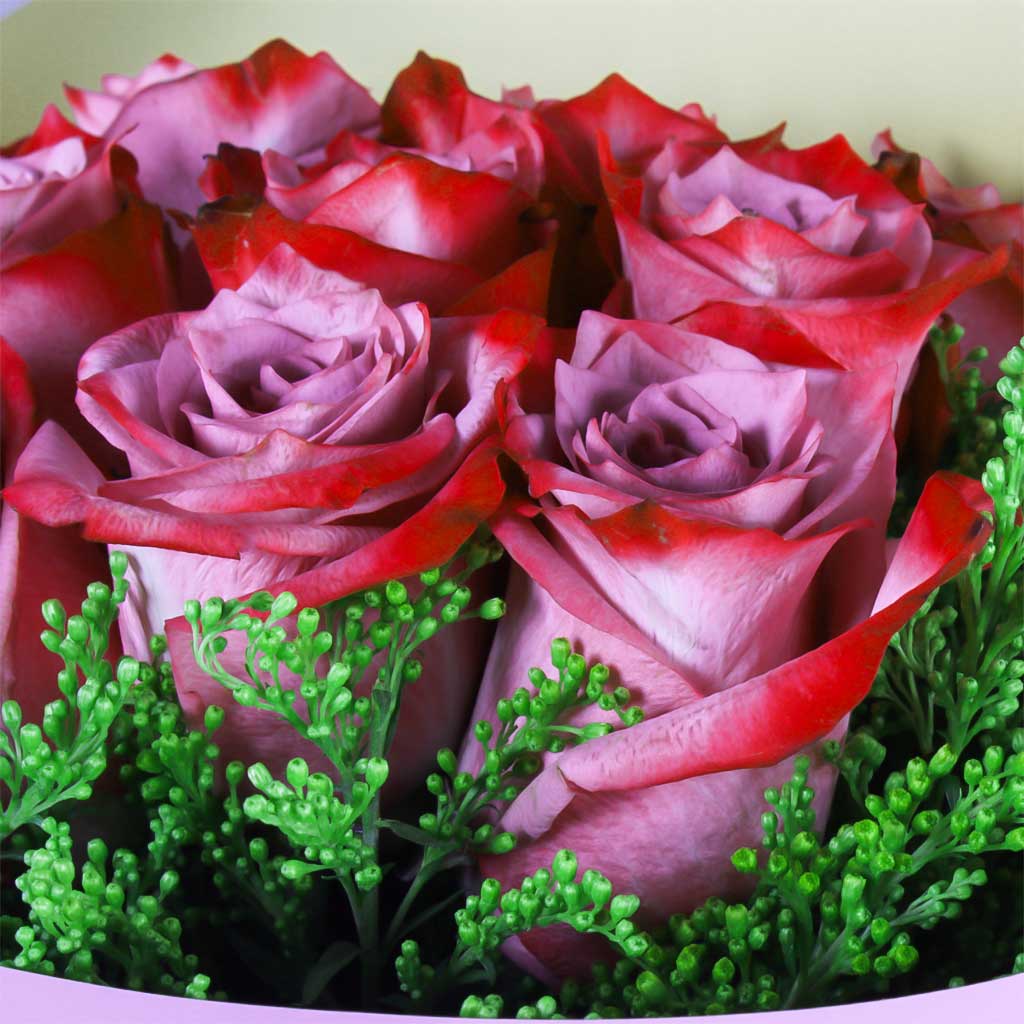 product-image-11263