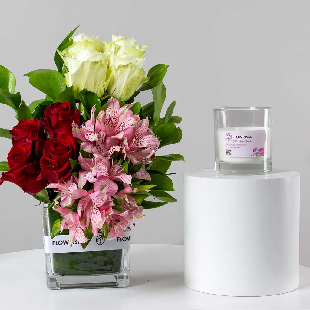 product-image-10900
