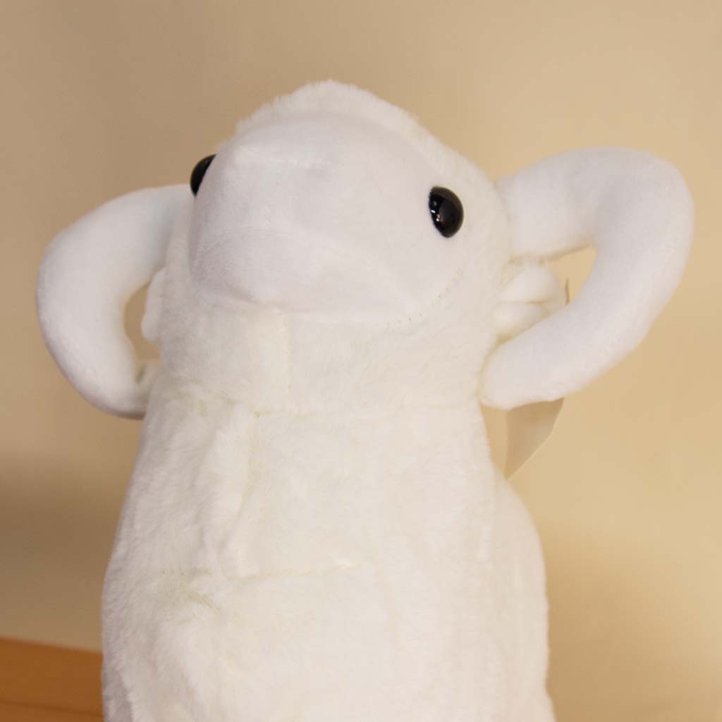 product-image-13701
