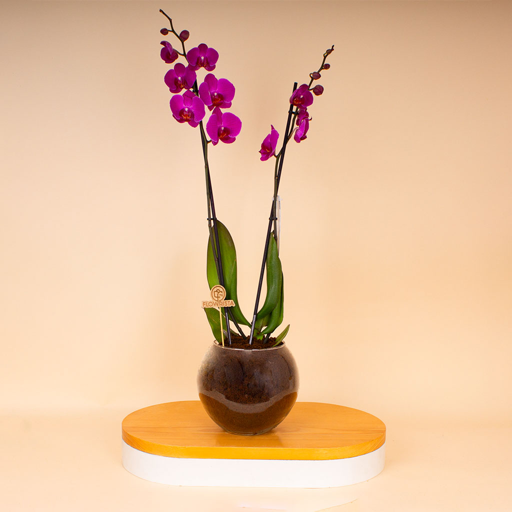product-image-14345