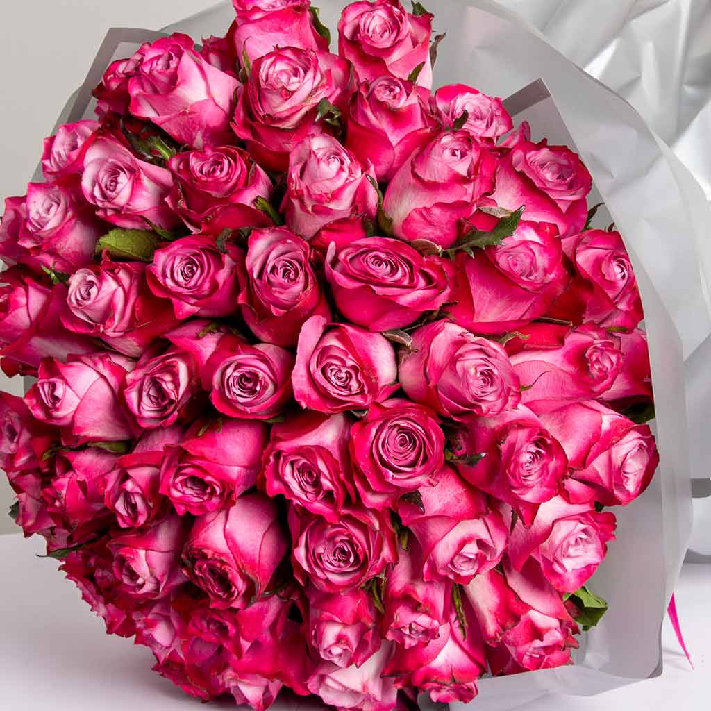 product-image-487