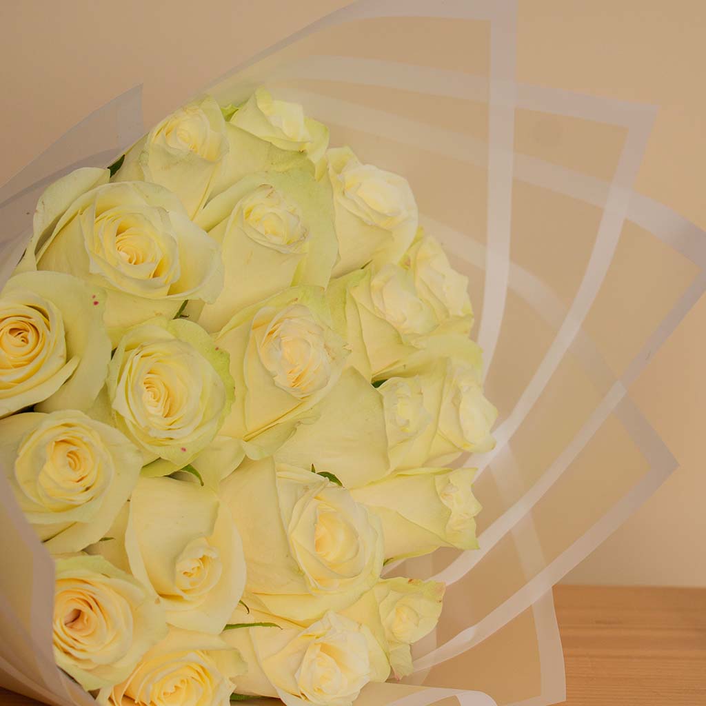 product-image-13764