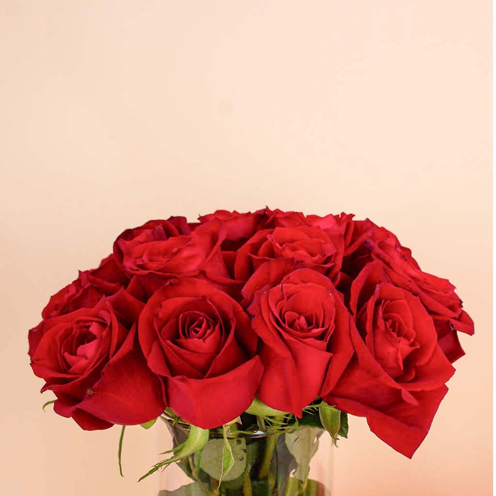 product-image-14290