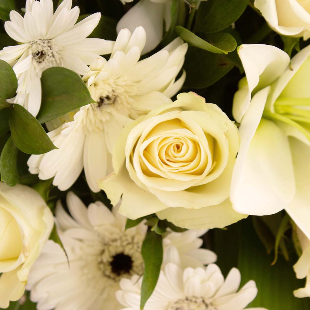 product-image-139