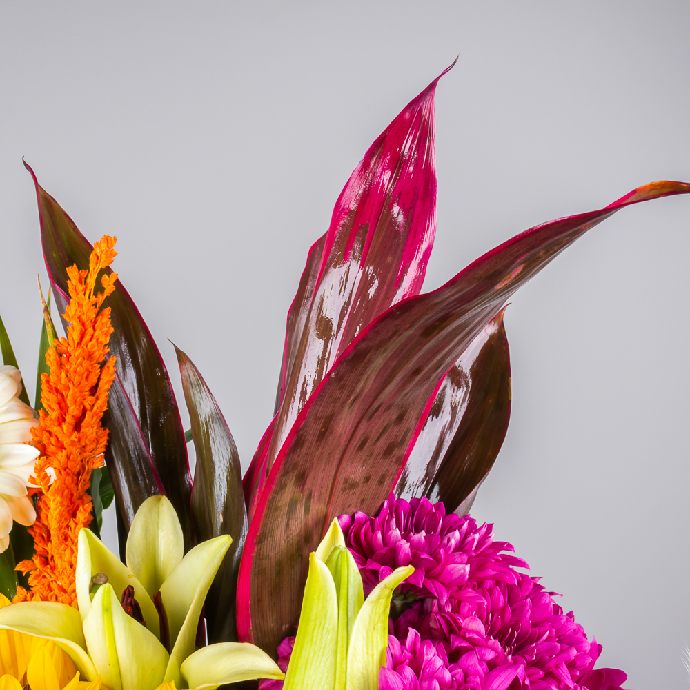 product-image-279
