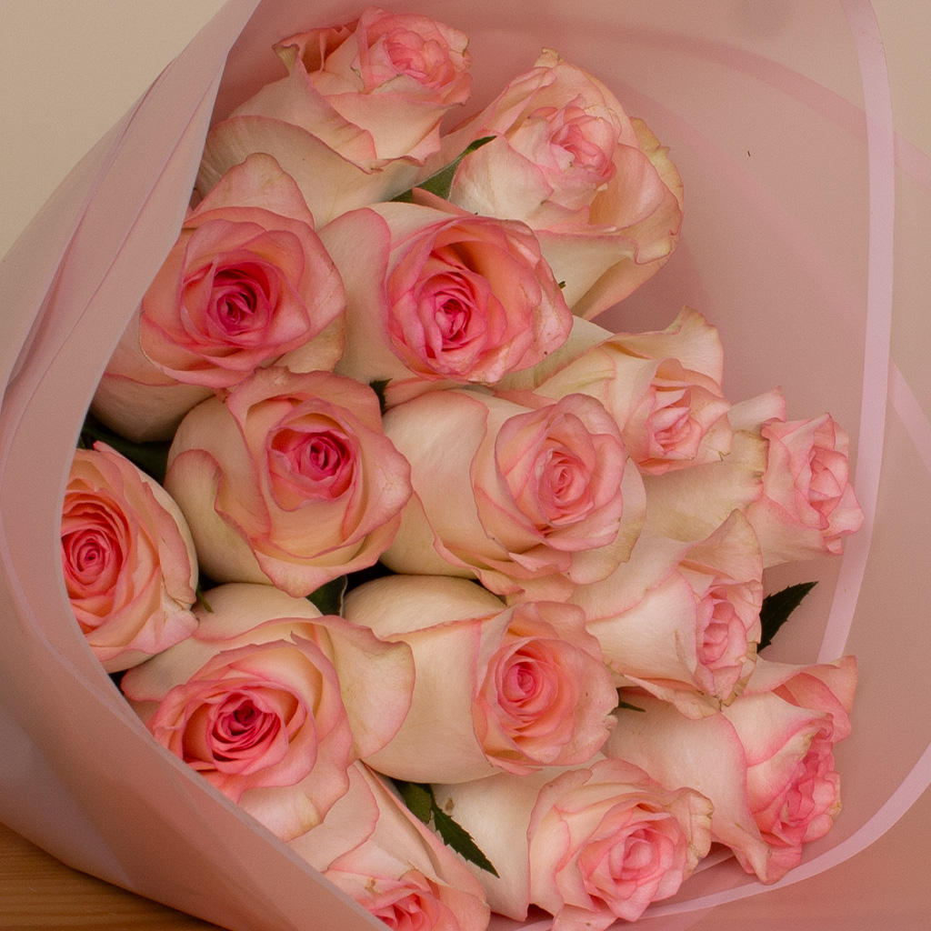 product-image-13453