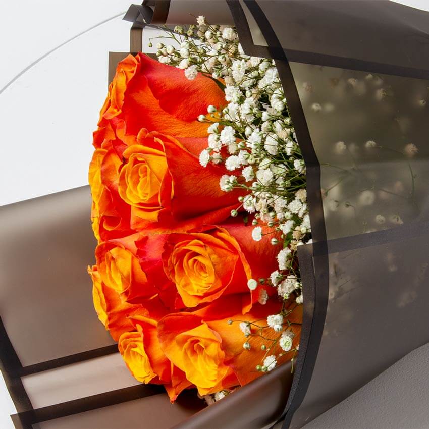 product-image-10789