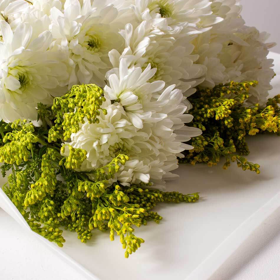 product-image-10826