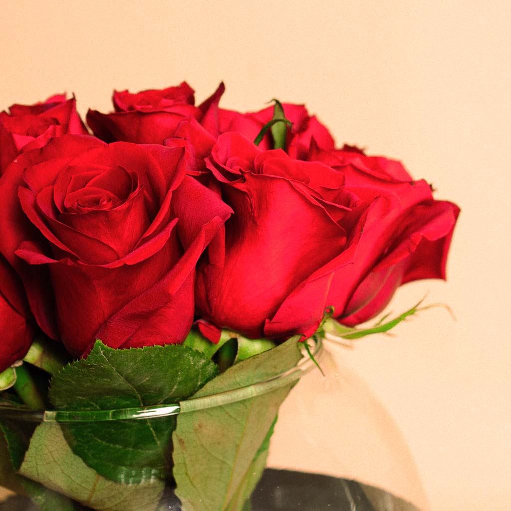 product-image-12744