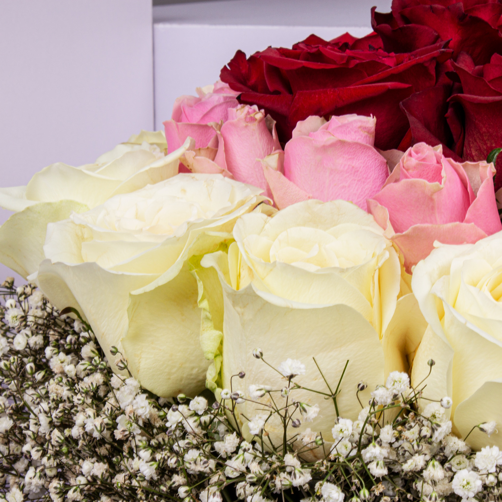 product-image-399