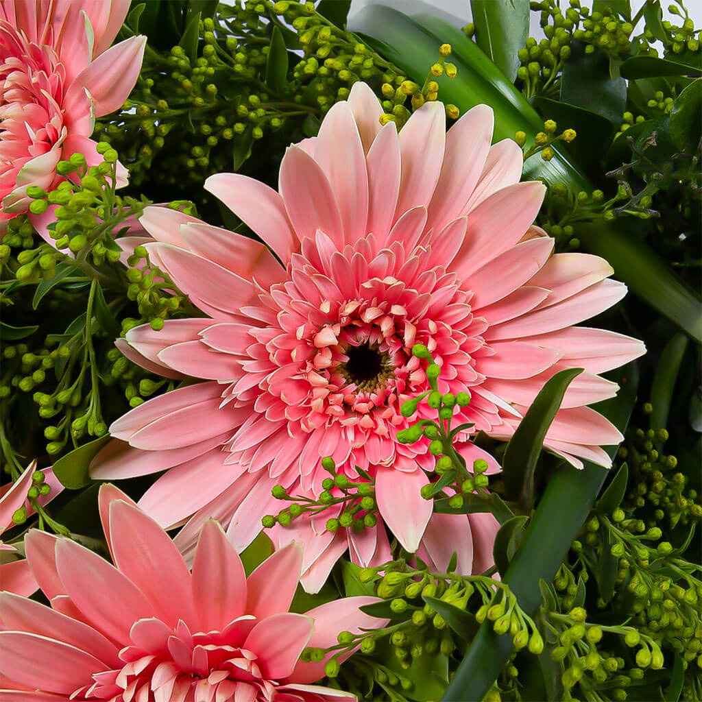 product-image-11387