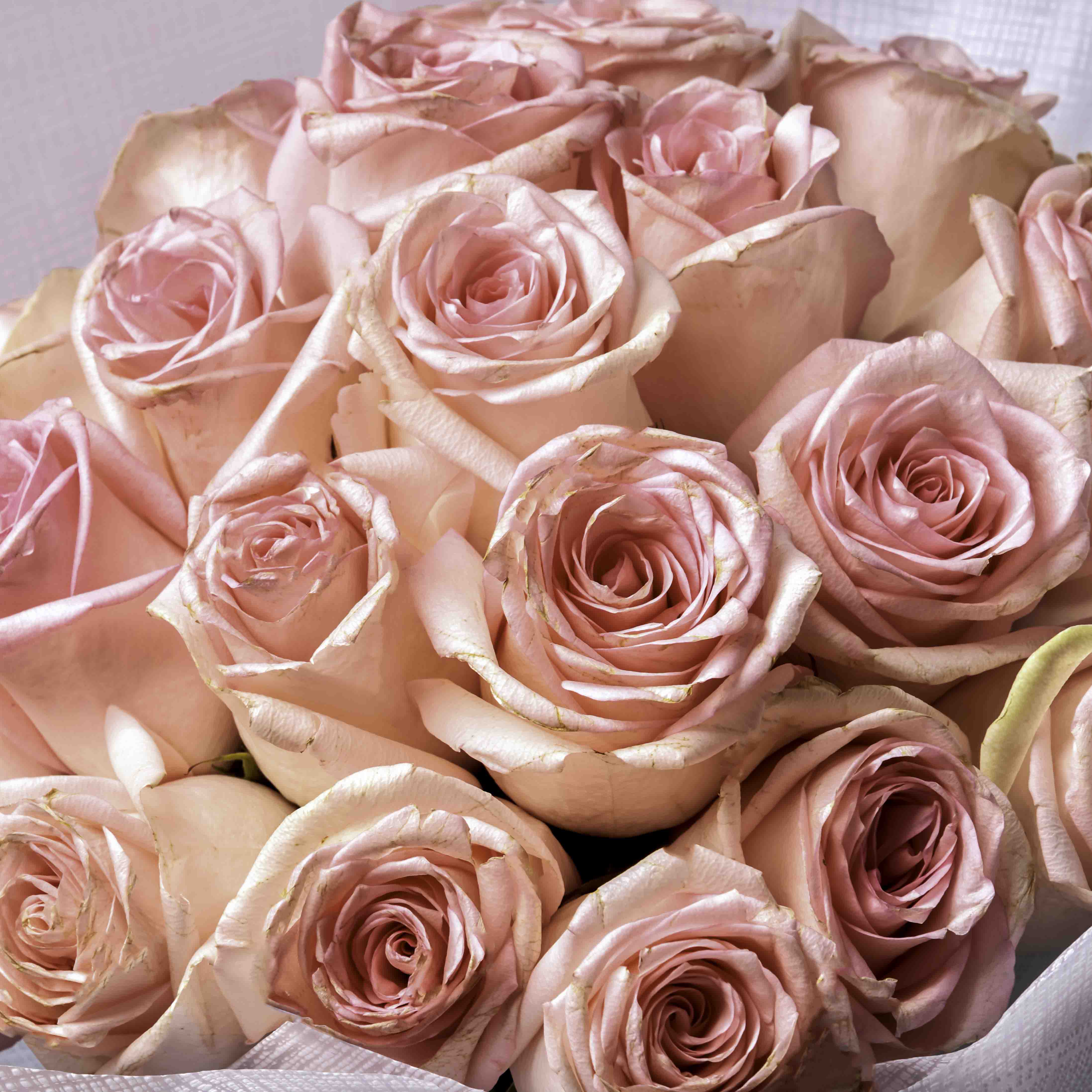 product-image-131