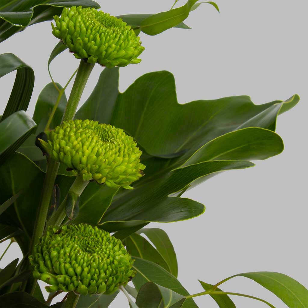 product-image-11638