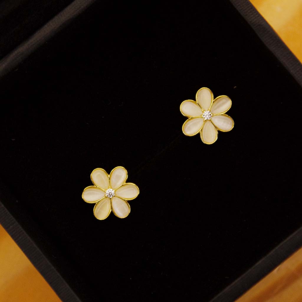 product-image-13588