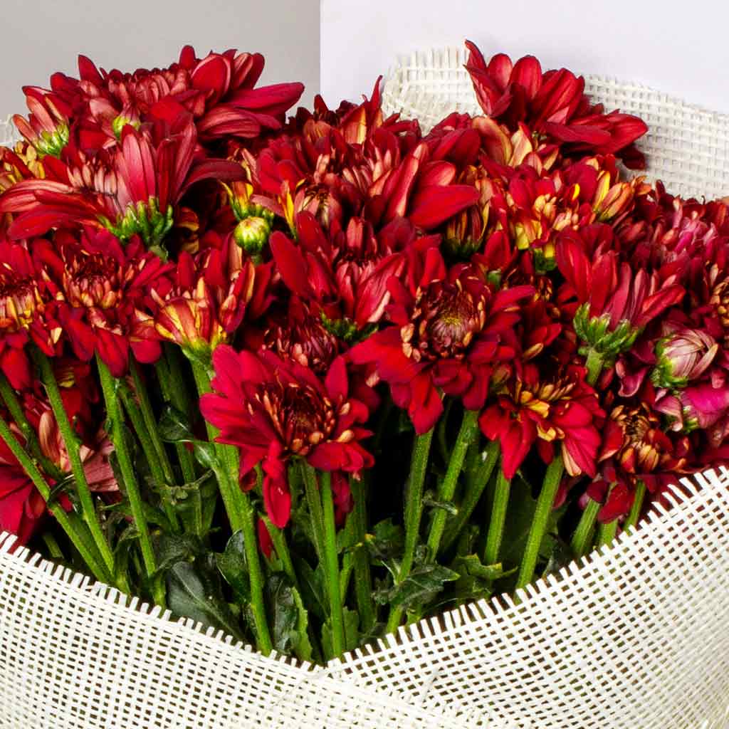 product-image-10502
