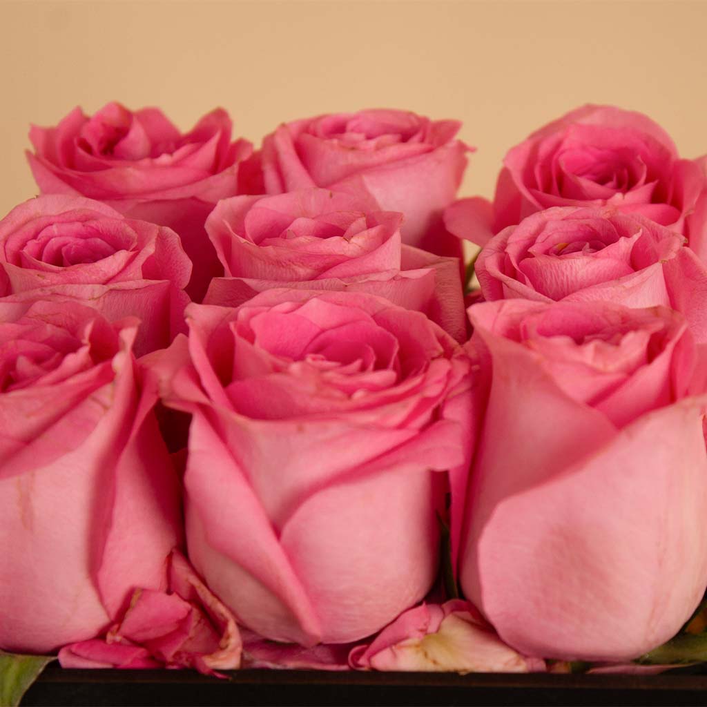 product-image-13361