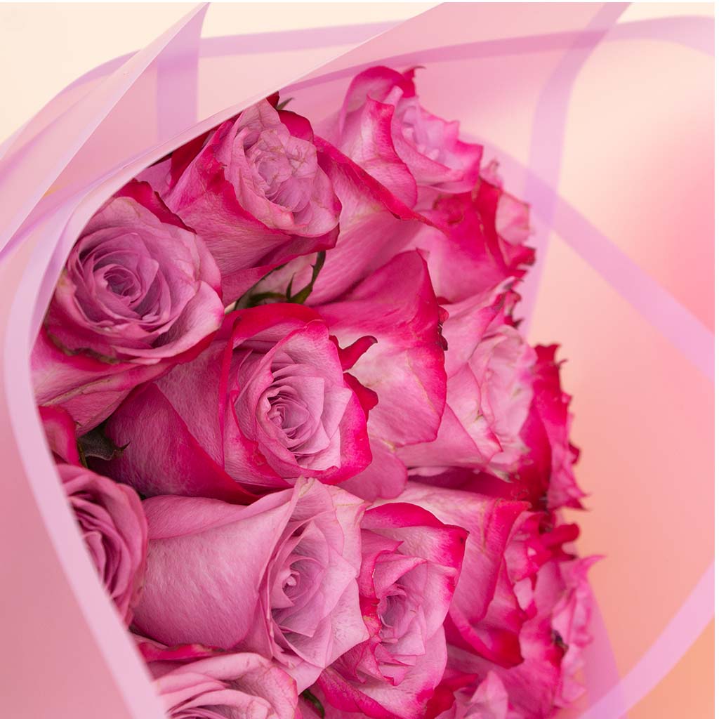 product-image-14294