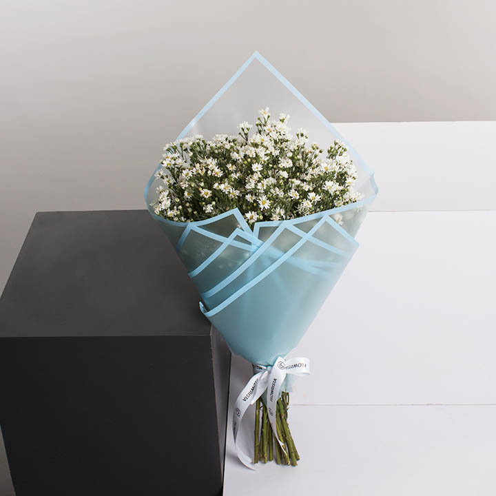 product-image-407