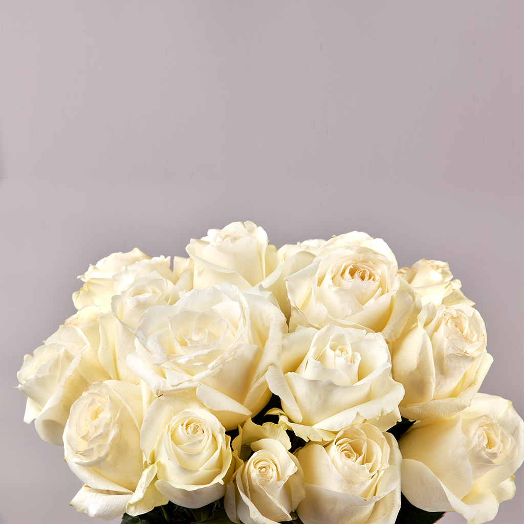 product-image-137