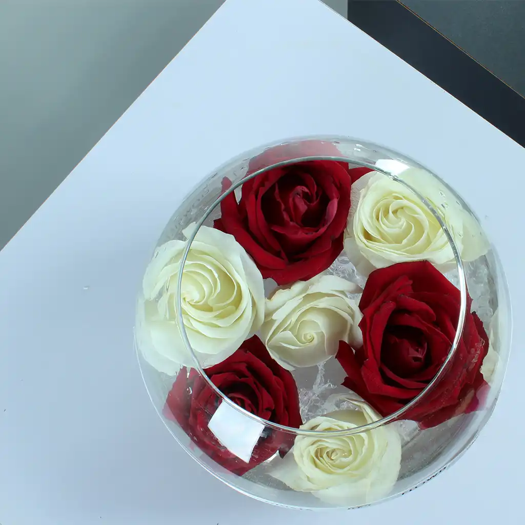 product-image-156