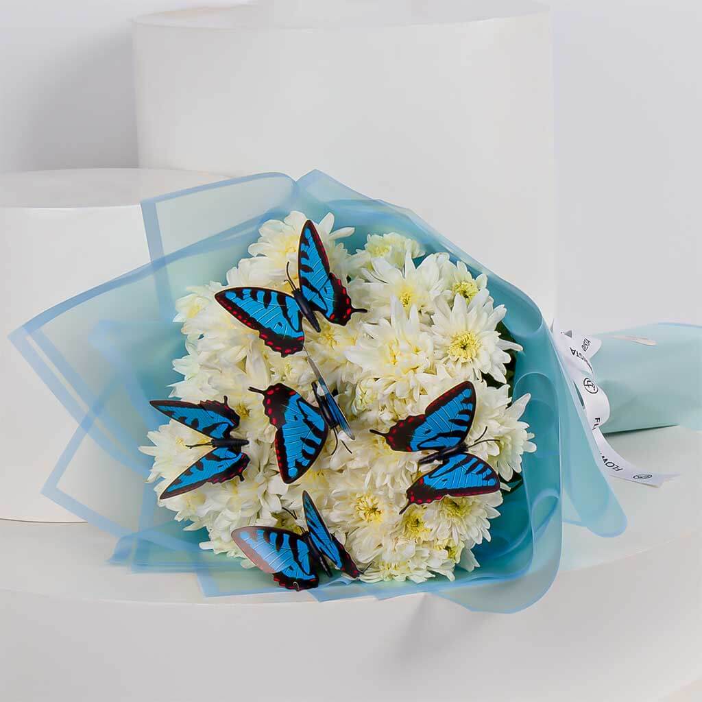 product-image-11430