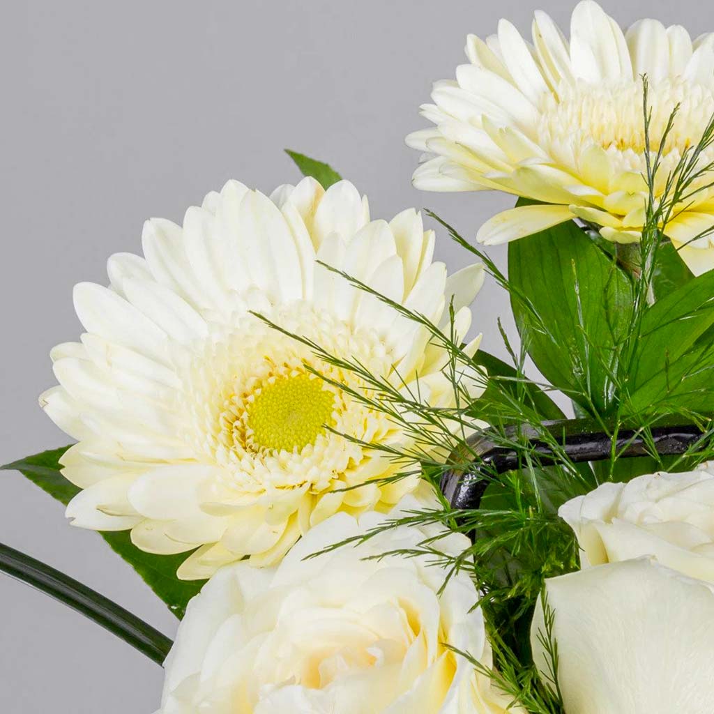 product-image-290
