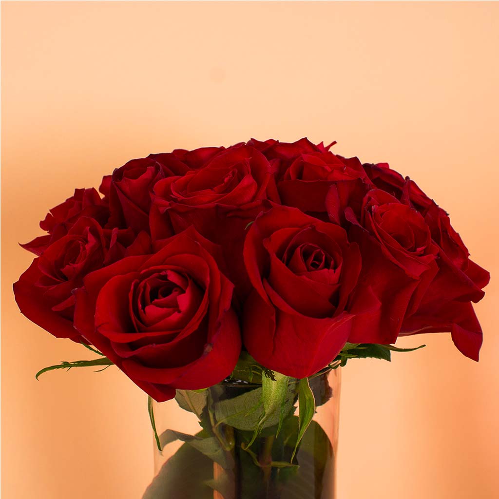 product-image-14235