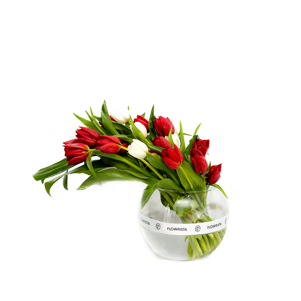 Tulips Mood On 