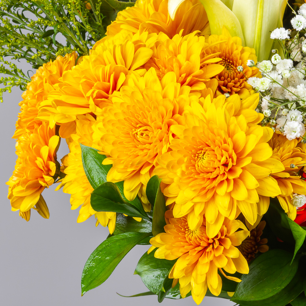 product-image-279