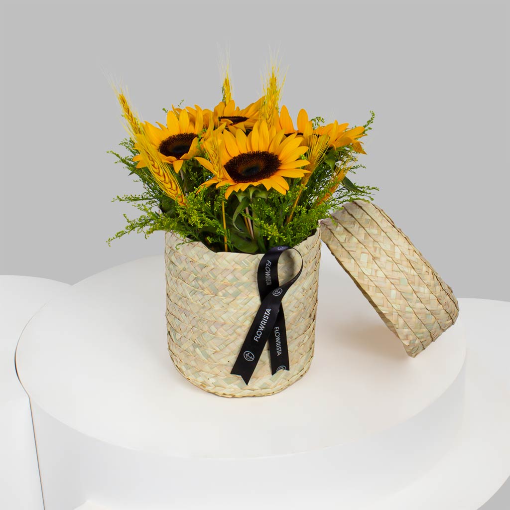 product-image-11591